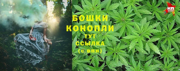 СК Пестово