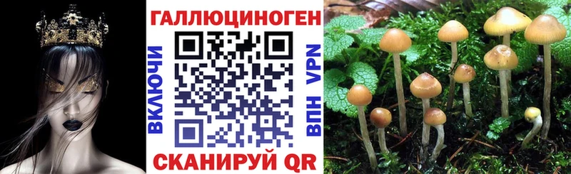 Псилоцибиновые грибы мухоморы  Нахабино 